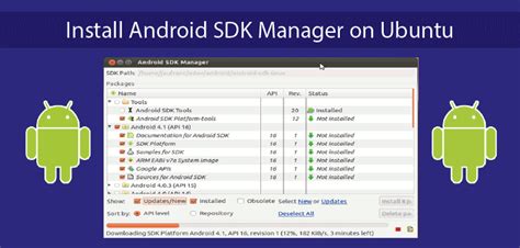 Cómo Instalar Android Sdk Manager En Ubuntu 1804 Conpilares