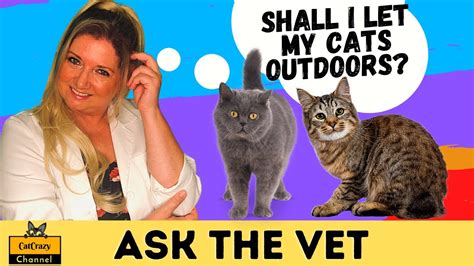 Should You Allow Your Cat To Go Outdoors 😻 Catcrazy Youtube