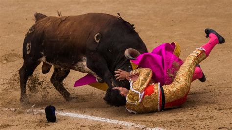 Spanish Bulls Injure 3 Matadors In Historic Knockout Victory Ctv News