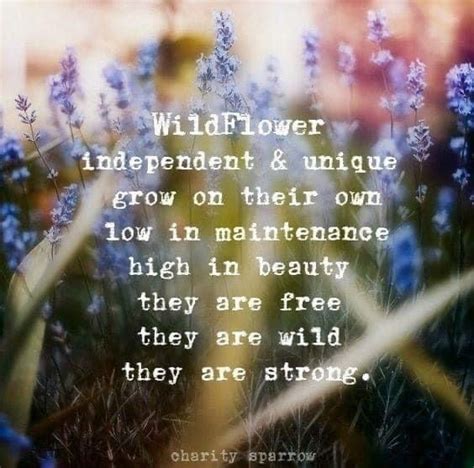 If we could see the miracle of a single flower clearly our whole life would change. Pin by Irene Marino on Hippie Soul ~ Wildflower Heart in ...