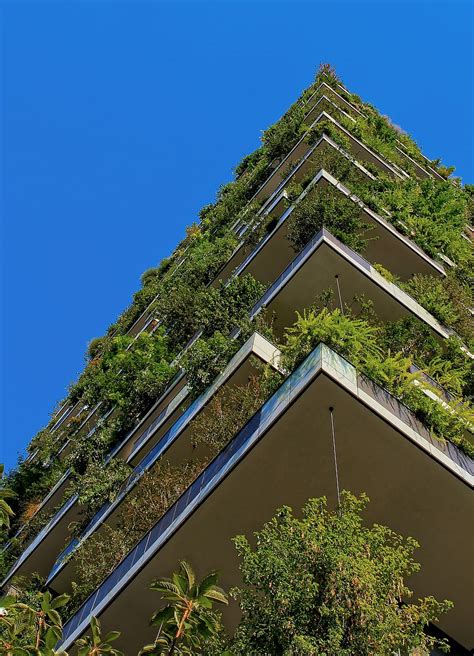Green Roofs Bringing Nature To Urban Living Elegant Spaces