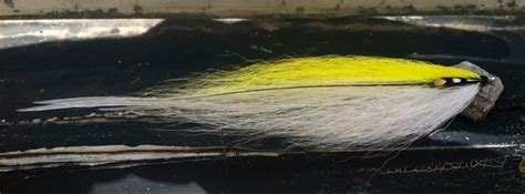Jason Taylor S Fly Tying For Striper Photo Fly Dreamers