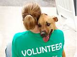 Dog Shelter Community Service Photos