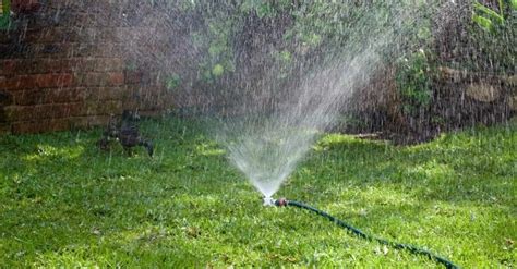 Watering New Grass Seed Techniques To Get Perfect Lawn