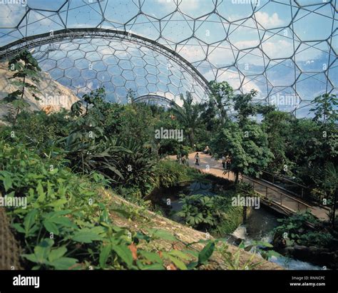 Uk England Cornwall The Eden Project Interior Of Glass Dome