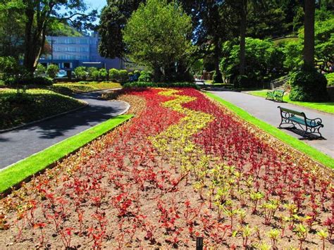 Wellington Botanic Garden In Wellington
