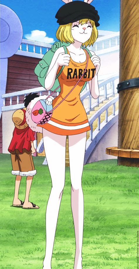 28 Idées De One Piece Carrot One Pièce Manga One Piece Anime