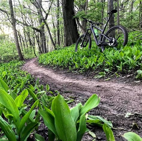 Raceway Woods Chicago Area Mountain Bikers