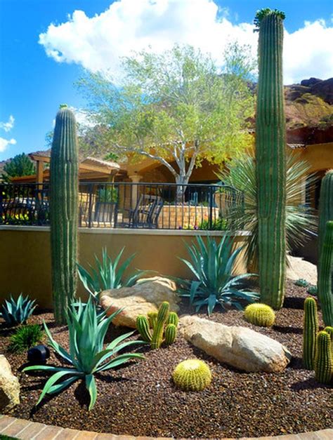 60 Stunning Desert Garden Landscaping Ideas For Home Yard Desert