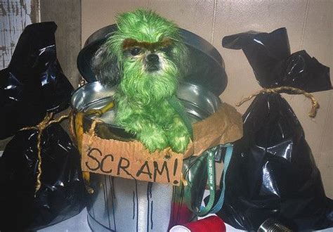 Oscar The Grouch Dog Costume Dog Costumes Funny Pet Halloween
