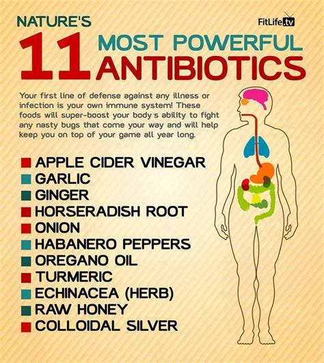 11 Most Powerful Antibiotics One Organic Health