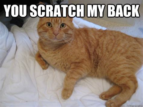 You Scratch My Back Ill Scratch Your Couch Cat Logic Quickmeme