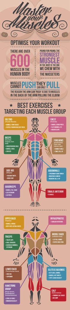 Spine t7, spinous processes and supraspinous ligaments of all lower thoracic, lumbar and sacral vertebrae, lumbar fascia, posterior. Funny Team Names | Personal | Pinterest | Best Running ideas
