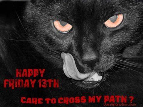 Friday the 13th black cat has some snacks. Happy Friday The 13th Black Cat Pictures, Photos, and ...