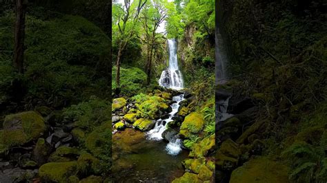 Kentucky Falls Mapleton Oregon Youtube