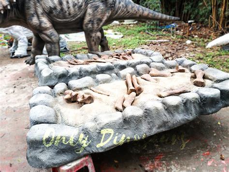 Fossil Digs Kids Dig For Sale Only Dinosaurs