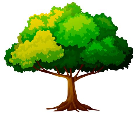 Clip Art Cartoon Tree Png Transparent Background Tree Clipart Png