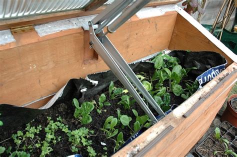 Cold Frames The Easiest Way To Get A Jump On The Growing Season Off