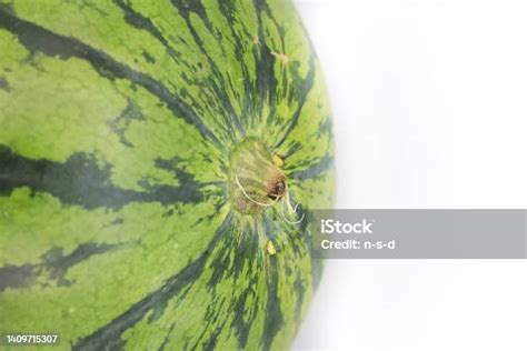 Semangka Utuh Yang Lezat Dengan Latar Belakang Putih Foto Stok Unduh