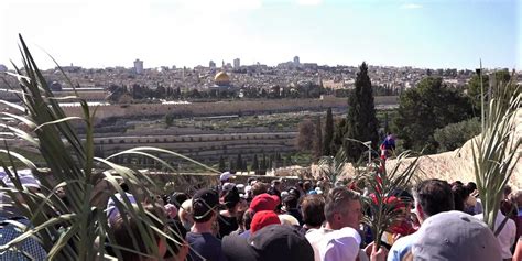 A Video Of The Palm Sunday Procession In Jerusalem