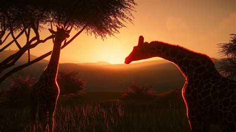 Planet Zoo 2020 Hd Wallpapers Wallpaper Cave