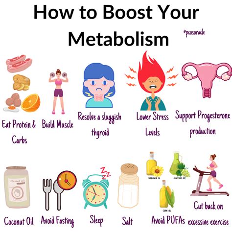 The 12 Best Foods To Boost Your Metabolism Artofit