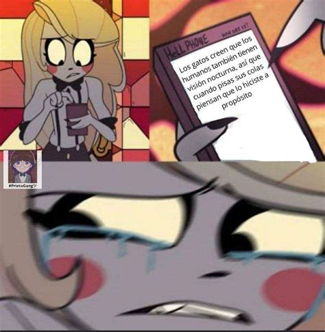 Hazbin Hotel Memes Imágenes Graciosas Libro De Humor Chistes Tiernos