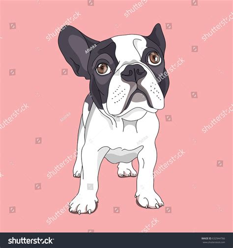 Cartoon French Bulldog On Pink Background Stock Vector Royalty Free