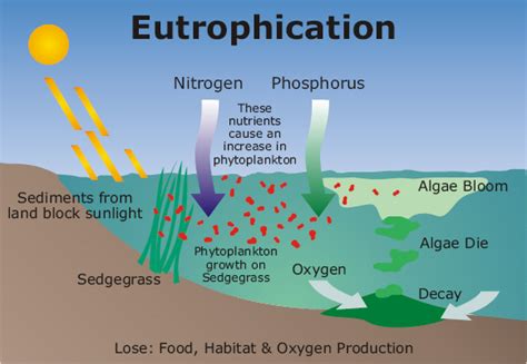 Biosphere Atmosphere And Hydrosphere Eutrophication