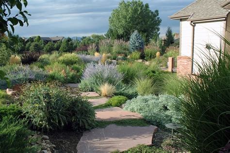 Xeriscape Garden Plants Colorado Landscaping Jands Landscape Longmont Co