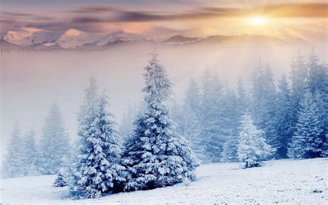 Winter Wonderland 4k Wallpapers Top Free Winter Wonderland 4k