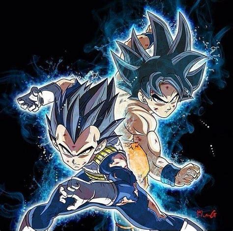 It is an extraordinarily difficult technique to master, even for the hakaishin. Goku and Vegeta Ultra Instinct #dragonball # ...
