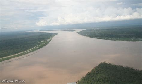 Aerial View Of The Amazon River Co02 0061