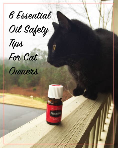 Docusate sodium is safe for cats. 6 Essential Oil Safety Tips for Cat Owners | Essential oil ...