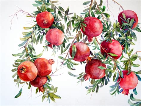 Pomegranate Art Fine Art Painting Flower Painting