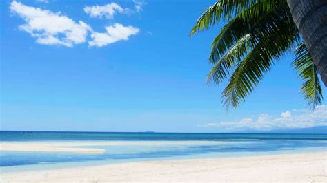 Tropical Beach With White Sand Desktop Wallpaper