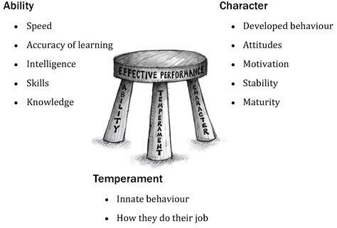 Elements Of Effective Performance Mcquaig Psychometric System