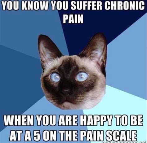 15 Memes That Nail What Its Like To Be In Pain 247