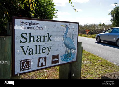 Everglades National Park Shark Valley Florida Everglades Stock Photo