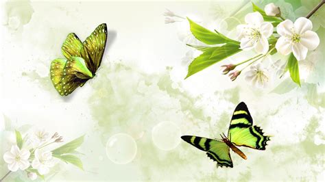 Update More Than 55 Green Butterfly Wallpaper Super Hot Incdgdbentre