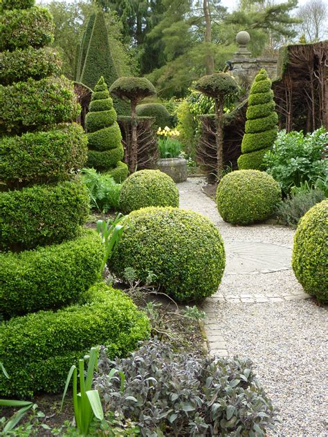 Topiary Happiness Small Courtyard Gardens Garden Hedges Topiary Garden