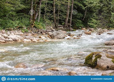 Mountain Rivers Formed From Glaciers Are Sources Of Clean Ecological