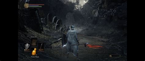 What carries over to new game plus: Question about 3440x1440 21:9 gameplay : DarkSouls2