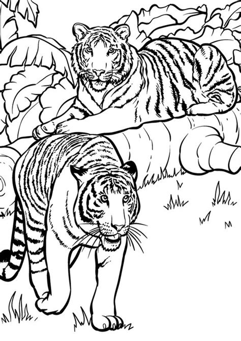 Free And Easy To Print Tiger Coloring Pages Tulamama