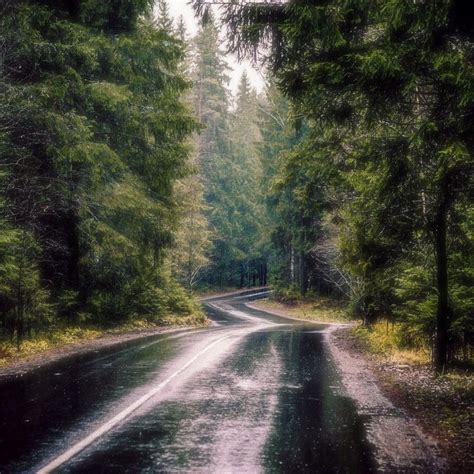 Rainy Road Photographer And Location Unknown Cr☔️ Scenic Routes