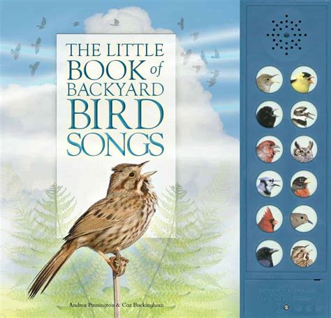 Beautiful Bird Books For Kids To Spark An Interest In Nature