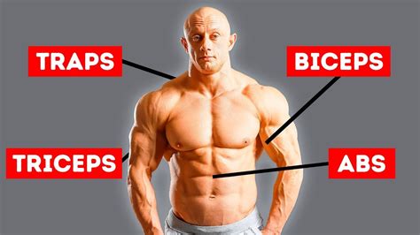 I know that sounds like a weird distinction to make, given that bulking up requires gaining both body weight and muscle mass. 3 Exercises to Hit Every Single Muscle in Your Body - YouTube