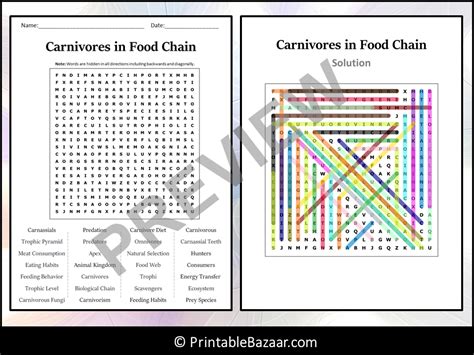 Carnivores In Food Chain Word Search Puzzle Worksheet Activity