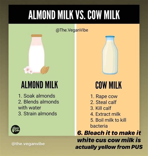 Almond Milk Vs Cow Milk Milk Cow Soy Milk Nutrition Milk Benefits