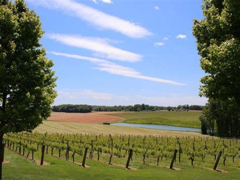 The 6 Best Wineries In North Carolina With Photos And Map Trips To